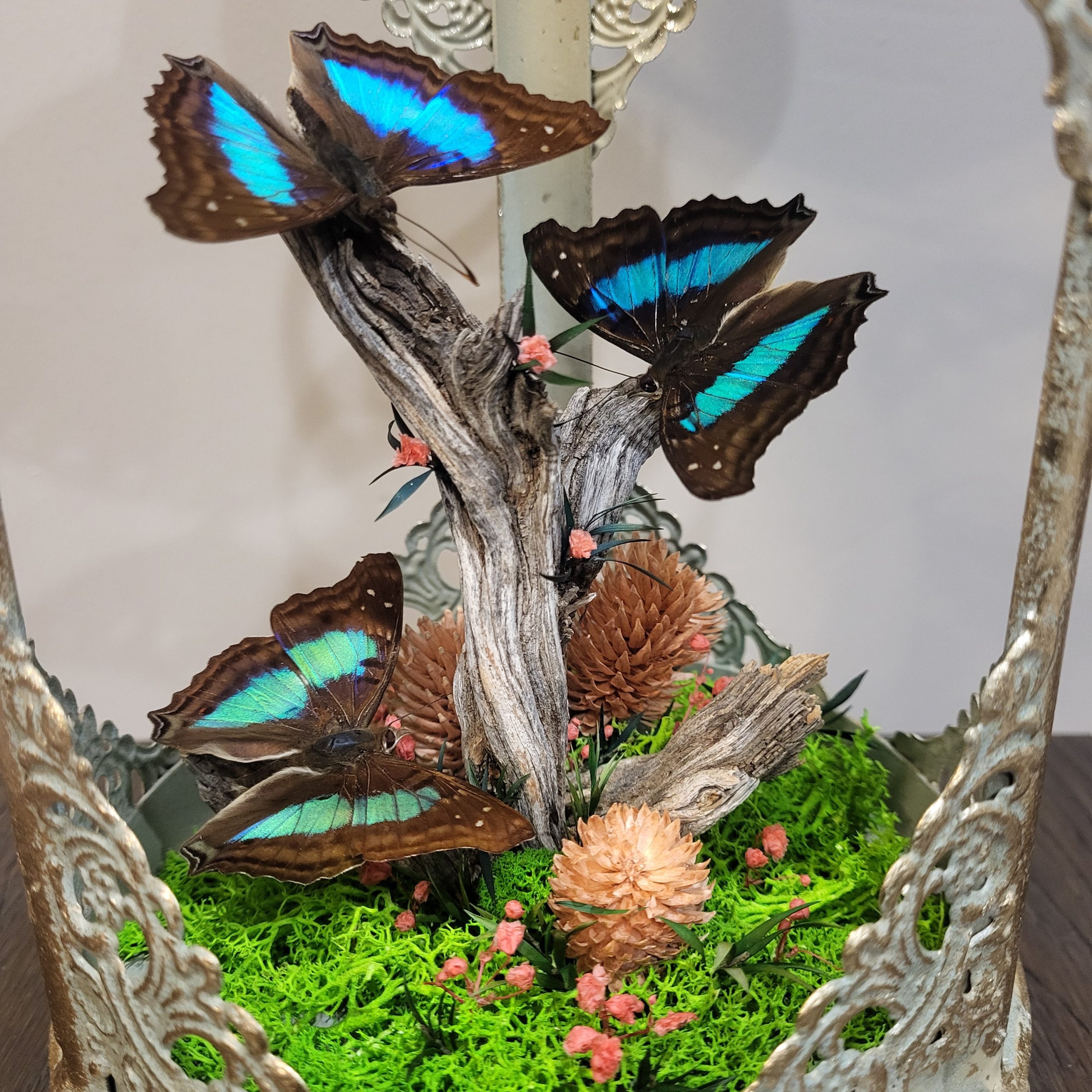 IMG_20241111_204549_493